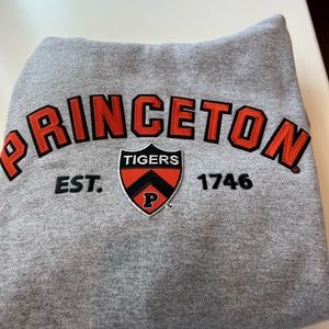 Princeton University hoodie made by champion.